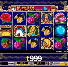 t999 Salvador - Bonus Stats